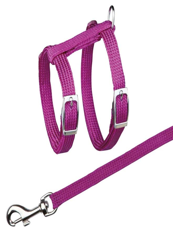 Trixie Cat Harness with Leash - Assorted